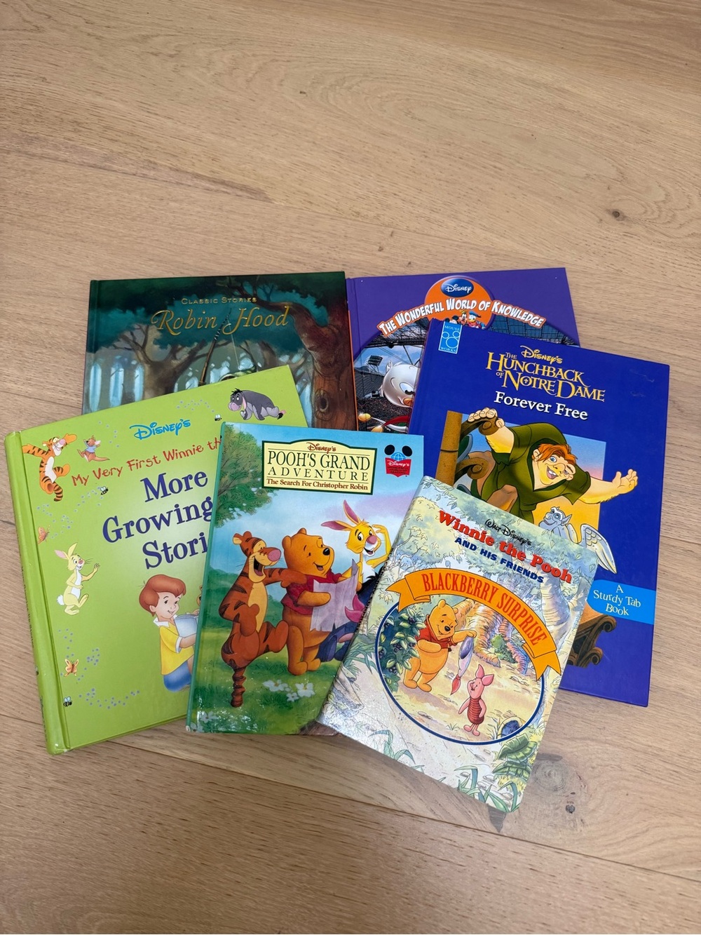 Disney Storybook Lot – Hard Covers